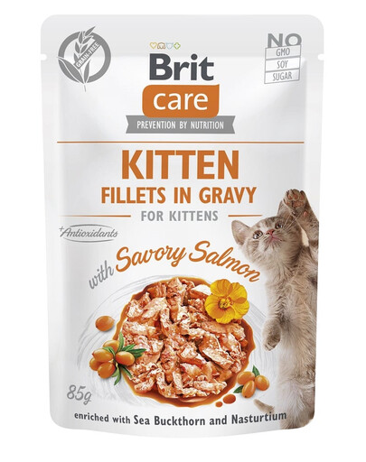 BRIT CARE Fillets in Gravy Pouch Kitten Savory Salmon 24x85g s lososem pro koťata
