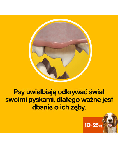 PEDIGREE DentaStix Medium 28 pack x 180 g