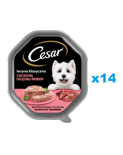 CESAR tác 14x150 g kompletní mokré krmivo pro dospělé psy, terina s jemným telecím a drůbežím
