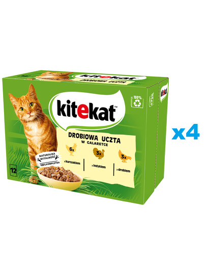 KITEKAT Drůbeží hody sáček 48x85 g kompletní krmivo pro dospělé kočky s kuřecím, krůtím a drůbežím masem v želé