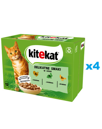 KITEKAT Delikatne Smaki sáček 48x85 g kompletní mokré krmivo pro dospělé kočky s krůtou, králíkem a drůbeží v omáčce