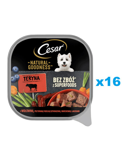 CESAR Natural Goodness Mus tác 16x100 g kompletní mokré krmivo pro dospělé psy s hovězím masem, zdobené zelenými fazolkami, mrkví a lesním ovocem