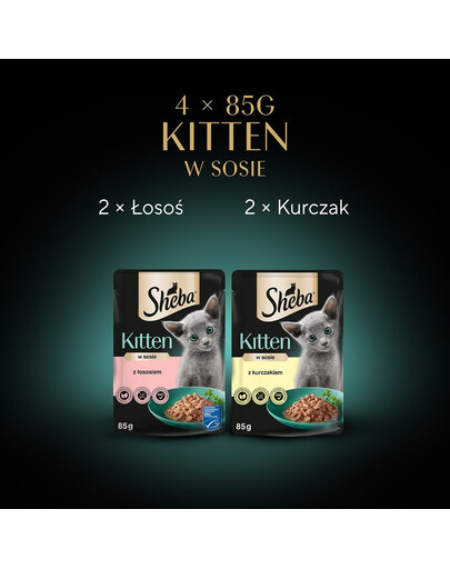 SHEBA KittenvVýběr příchutí v omáčce 4x85g mokré krmivo s lososem a kuřecím masem pro koťata