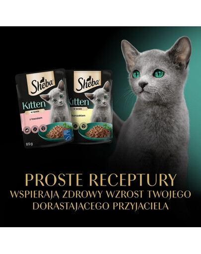 SHEBA KittenvVýběr příchutí v omáčce 4x85g mokré krmivo s lososem a kuřecím masem pro koťata