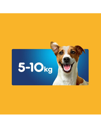 PEDIGREE DentaStix Daily Fresh pamlsky s kuřecí příchutí pro malá plemena 4x110g
