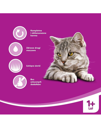 WHISKAS s kuřecím ve šťávě 400 g