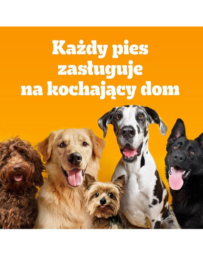 PEDIGREE Vital Protection Mini 2kg s kuřecím masem a zeleninou pro dospělé psy malých plemen