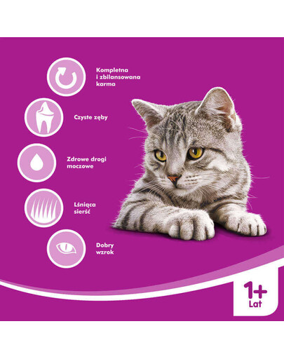 WHISKAS Adult kuřecí 7 kg