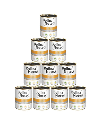DOLINA NOTECI Premium kachna s dýní 10x800 g