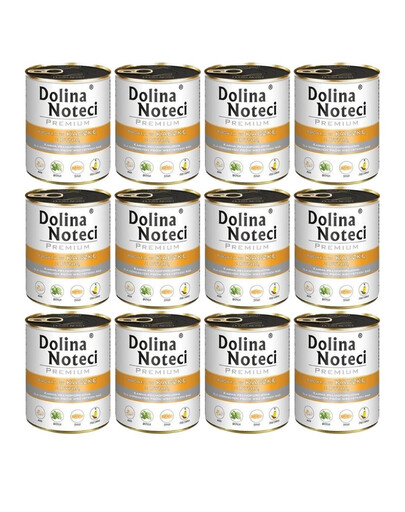 DOLINA NOTECI Premium kachna s dýní 12x800 g