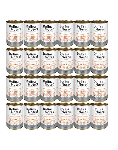 DOLINA NOTECI Premium Energy 24x400g