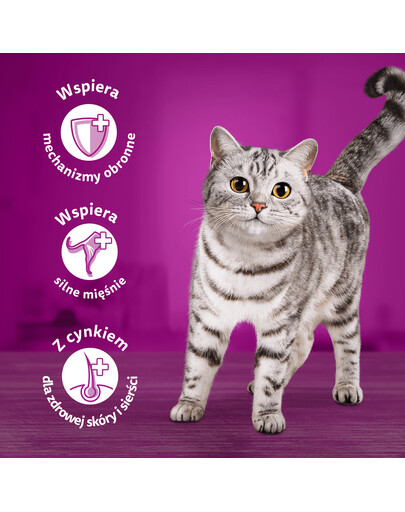 WHISKAS Adult sáček 85g vlhkého krmiva pro kočky s hovězí omáčkou pro dospělé kočky