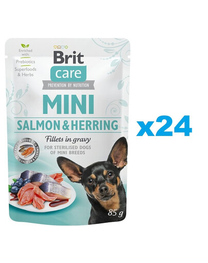 BRIT Care Mini 24 x 85 g