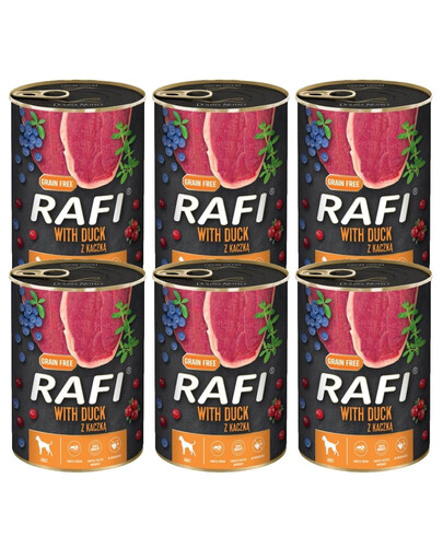 DOLINA NOTECI RAFI Kachna 6x400 g