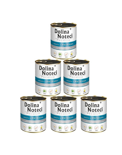 DOLINA NOTECI Premium pstruh 6x800g