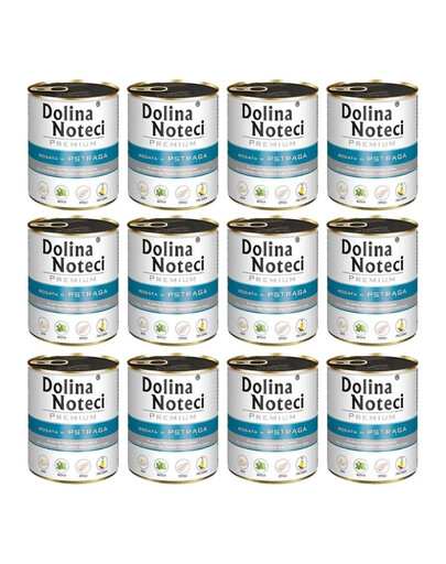 DOLINA NOTECI Premium Bohatá na pstruha 12x800g