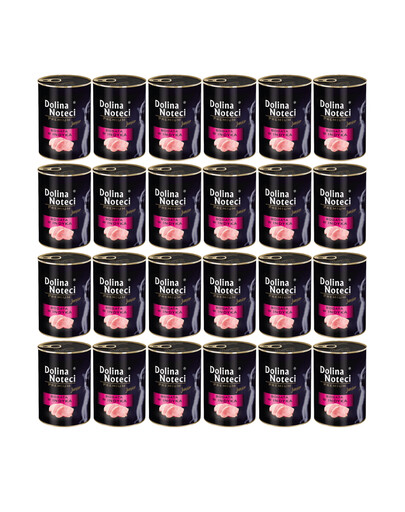 DOLINA NOTECI Premium Junior Krůtí 24 x 400 g