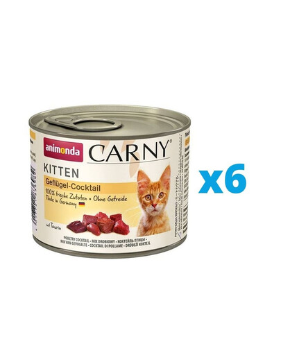 ANIMONDA Carny Kitten drůbeží koktejl 6 x 200 g