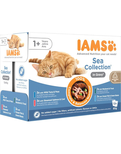 IAMS Cat Delights Adult All Breeds Sea In Jelly Pouch 12 X 85 g krmivo pro kočky v želé