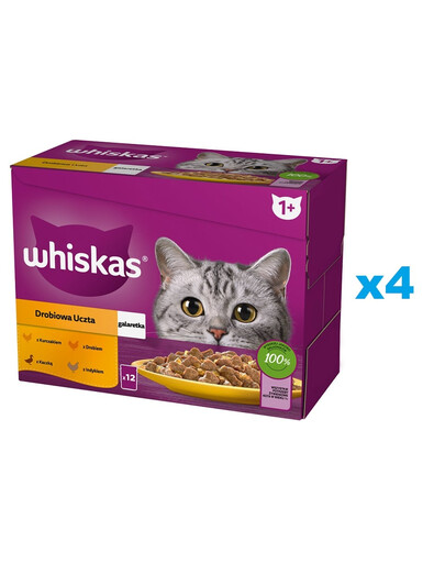 WHISKAS Adult sáček 48×85 g Drůbeží hostina mokré krmivo pro dospělé kočky v želé s: kuřecím masem, kachnou, drůbeží a krůtím masem