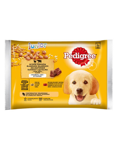 PEDIGREE Junior Různé příchutě s rýží 4x100g kapsička v želé kuřecí a hovězí
