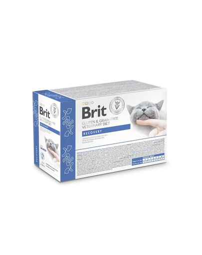 BRIT Veterinary Diet Grain Free Recovery Cat Fillets in Gravy Salmon 12x85g pro kočky v období rekonvalescence