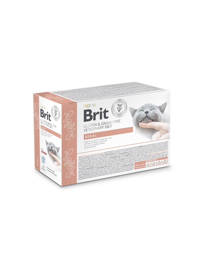 BRIT Veterinary Diet Grain Free Renal Cat Fillets in Gravy Salmon 12x85g pro kočky podporující funkce ledvin