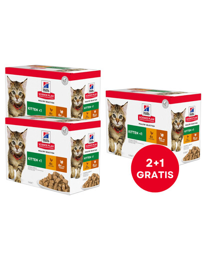 HILL'S Science Plan Feline Kitten Multipack Chicken & Turkey 85 g x12 ks (2+1 ZDARMA)