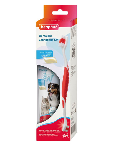 BEAPHAR Dental Kit kartáček a pasta na zuby pro psy a kočky