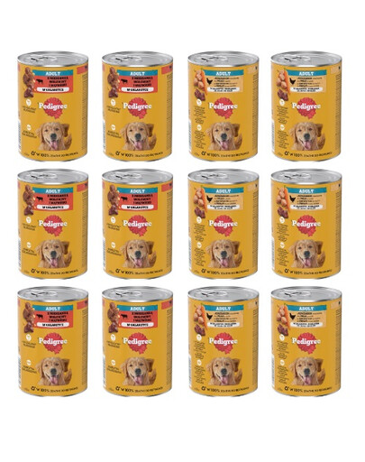 PEDIGREE Adult Mix příchutě 12x400g kuře s mrkví a hovězím masem s játrovou směsí v želé pro psy