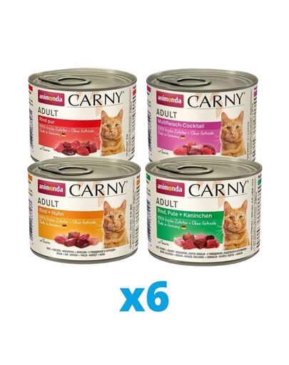ANIMONDA Carny mix smaków 24 x 200 g