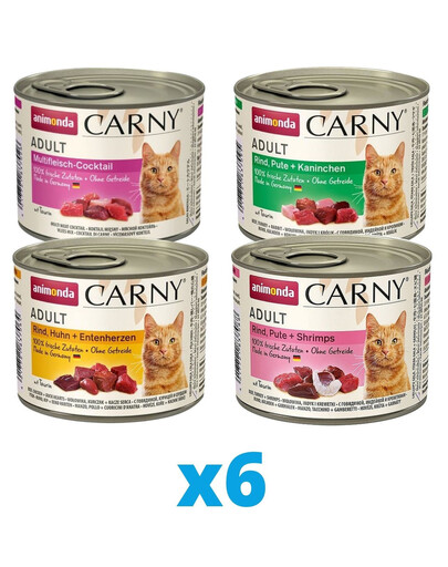ANIMONDA Carny mix smaków 24 x 200 g