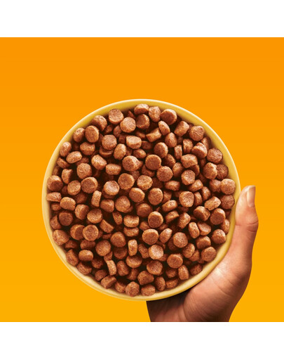 PEDIGREE Professional Nutrition Junior s Drůbežím a Zeleninou 12 kg pro štěňata středních a velkých plemen