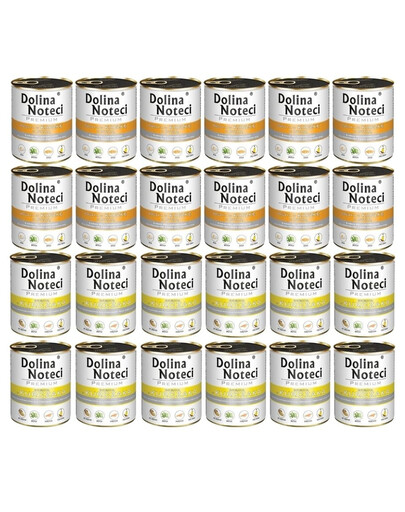 DOLINA NOTECI Mix chutí Premium Bohatá na kuřecí a kachní maso s dýní 24x800g