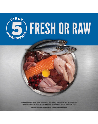 ORIJEN Original Dog 6 kg