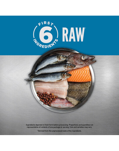 6 Fish Dog 11,4 kg