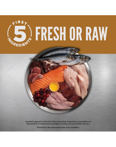 ORIJEN Original Cat 5,4 kg