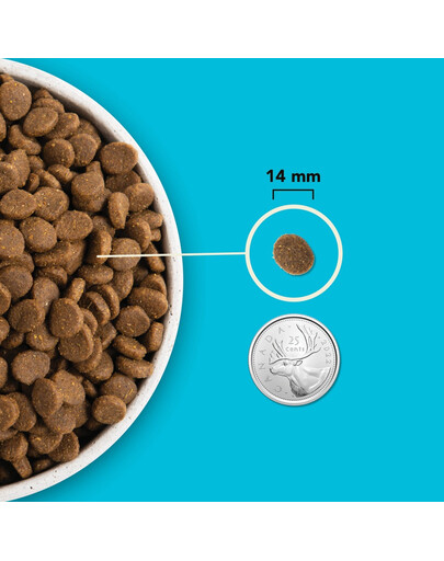 ACANA Highest protein Pacifica Dog 2 kg