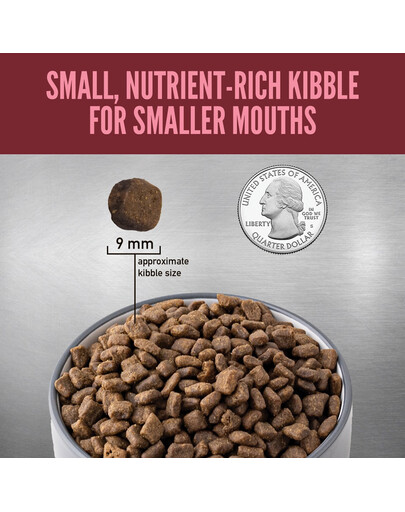 Small Breed Dog 1,8 kg