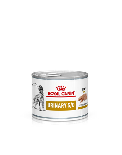ROYAL CANIN Dog Mokré krmivo s močovým filtrem 24x200 g pro dospělé psy s onemocněním dolních močových cest