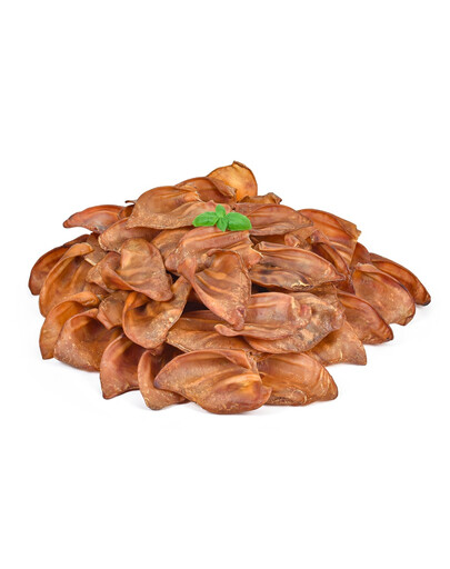 Ucho wieprzowe Premium 10 szt. naturalny gryzak dla psów