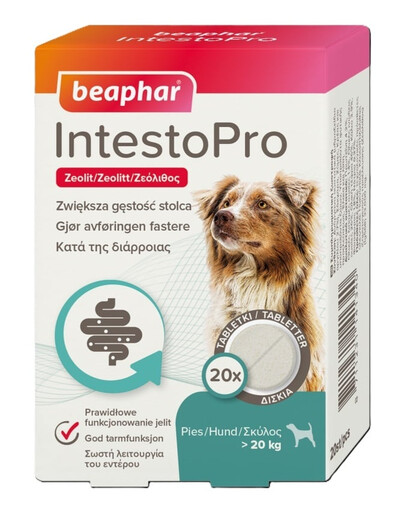 BEAPHAR IntestoPro pro správnou funkci střev 20 tablet pro psy (nad 20 kg) a kočky