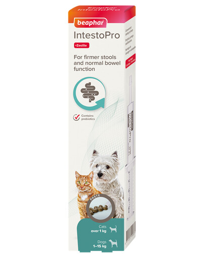 BEAPHAR IntestoPro zubní pasta pro psy a kočky 20ml