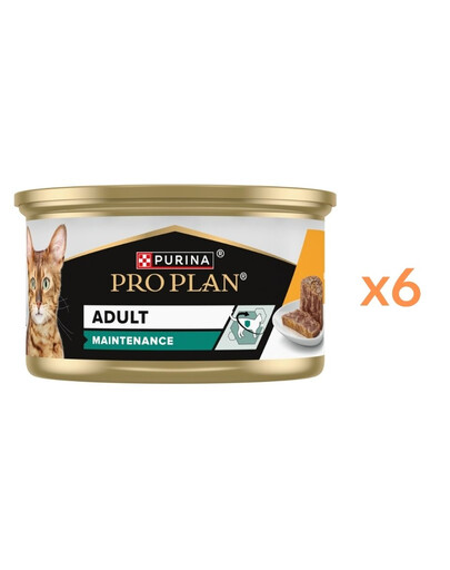 PURINA PRO PLAN Adult Maintenance Moist Chicken Pate 6x85g mokré krmivo pro kočky