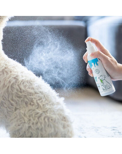 VET EXPER Detox Care Pure White Conditioner 150 ml odżywka bez spłukiwania dla psów i kotów o jasnej sierści