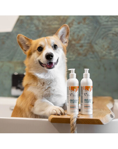 VET EXPERT Detox Care Vitalizing Conditioner 150 ml odżywka dla psa i kota ułatwiająca rozczesywanie