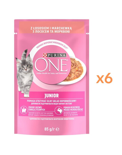 PURINA ONE Junior Cat Losos a mrkev 6x85g krmivo pro koťata