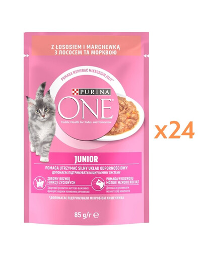 PURINA ONE Junior Cat Losos a mrkev 24x85g krmivo pro koťata