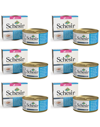 SCHESIR Tuňák s aloe pro štěňata 6x150g