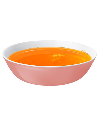 VOSKES Soup with Salmon 50 g zupa z łososiem dla kotów